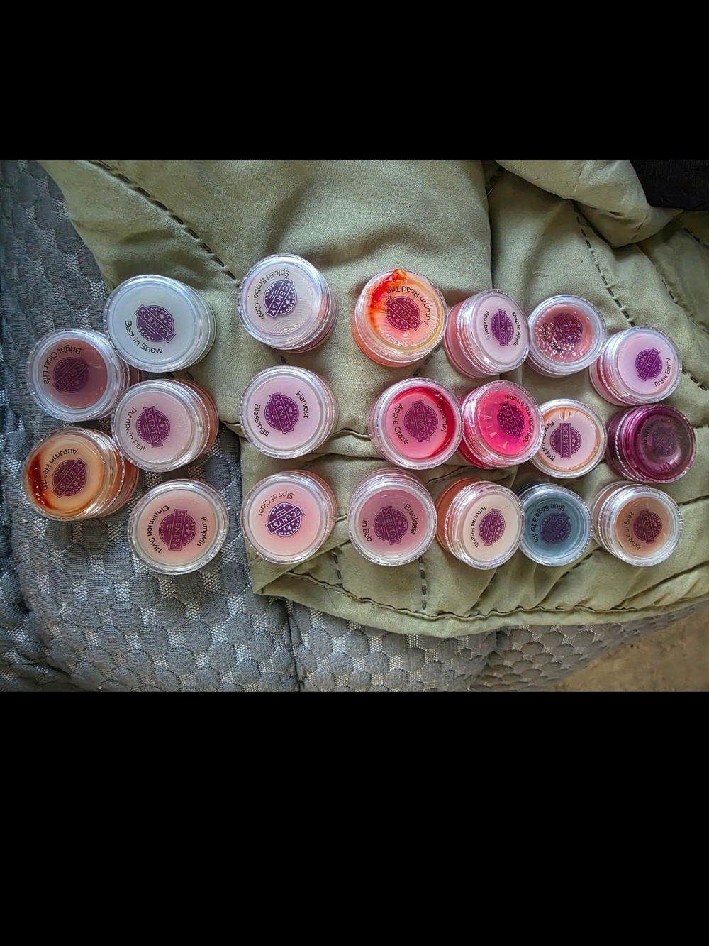 Scentsy Wax Melt Samples Lot of 20